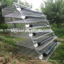 Auto Water System Layer Quail Cage